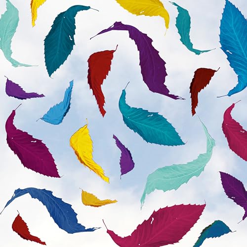 New Order - True Faith Remix (2023 Remaster) (LP) - Joco Records