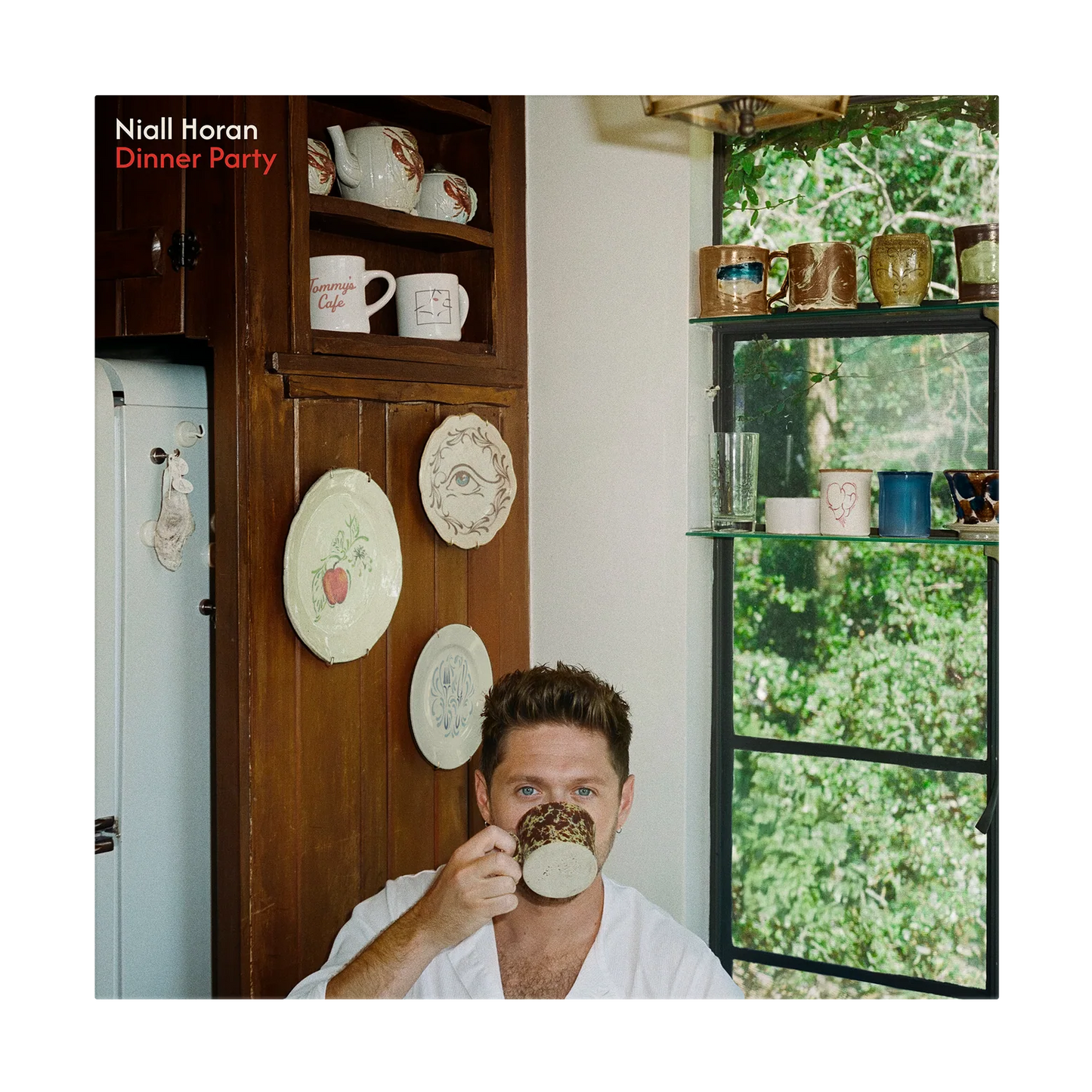 Niall Horan - Dinner Party (Explicit Content) (Limited Edition, Signed, Porcelain Color Vinyl, Alternative Edition)