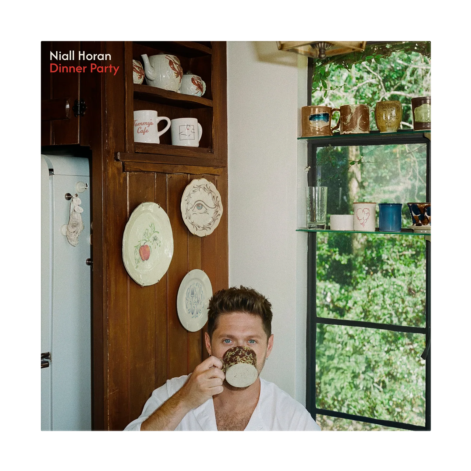 Niall Horan - Dinner Party (Explicit Content) (Limited Edition, Signed, Porcelain Color Vinyl, Alternative Edition)