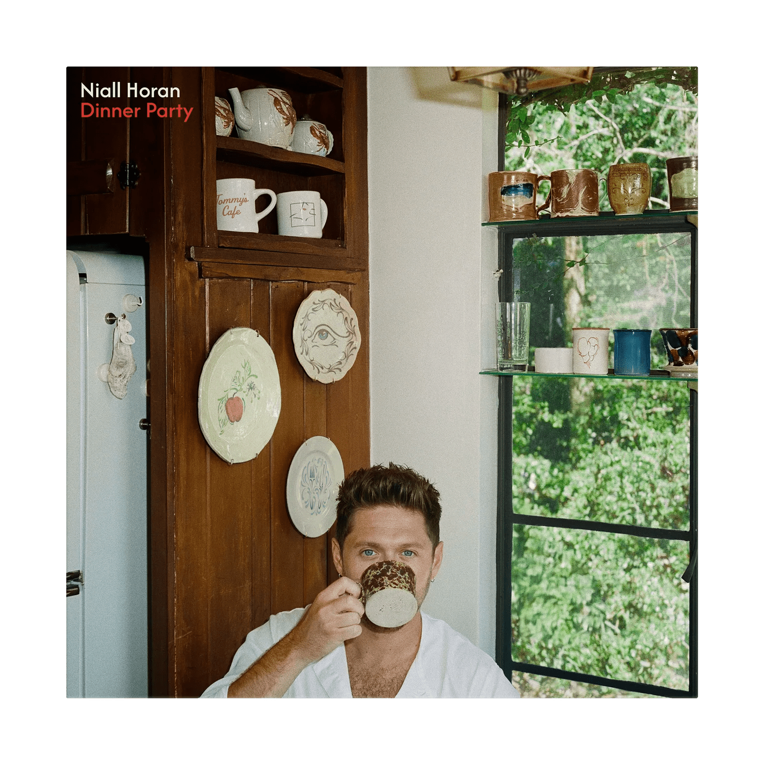 Niall Horan - Dinner Party (Limited Edition, Signed, Porcelain Vinyl, Alternative Edition) (LP) - Joco Records