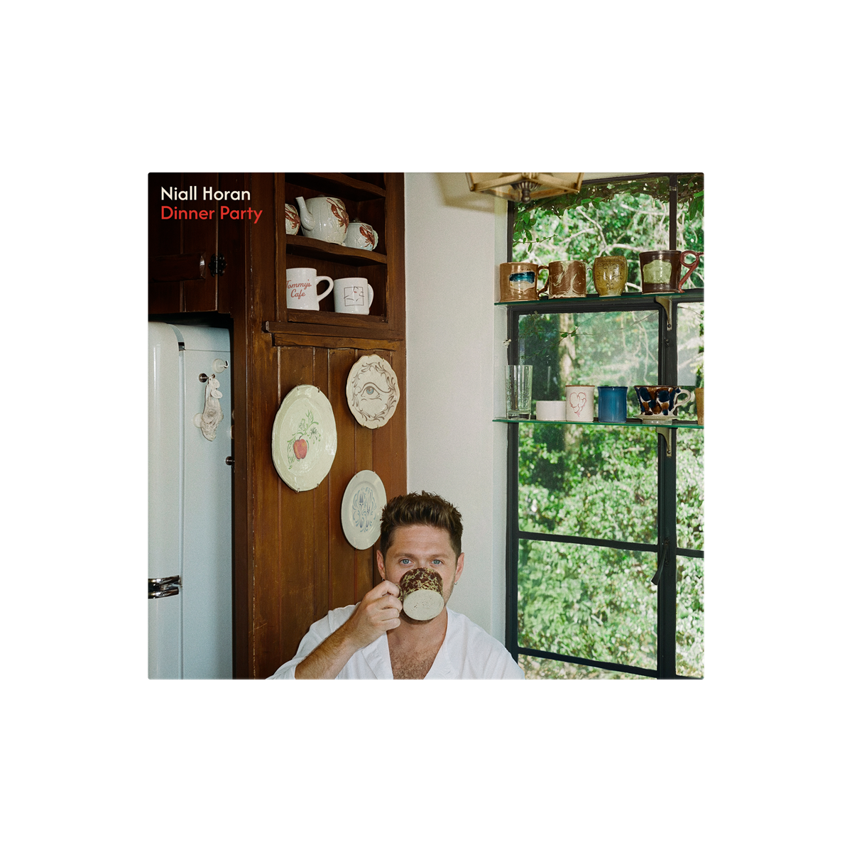 Niall Horan - Dinner Party (Signed Insert) (Porcelain LP)