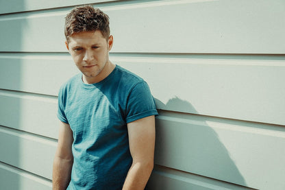 Niall Horan - Flicker (LP) - Joco Records