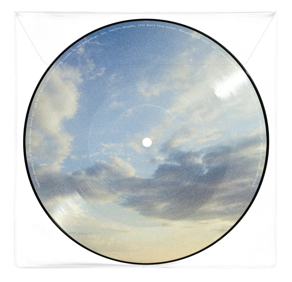 Niall Horan - Meltdown (Picture Disc Vinyl) (Import) (7" Single) - Joco Records