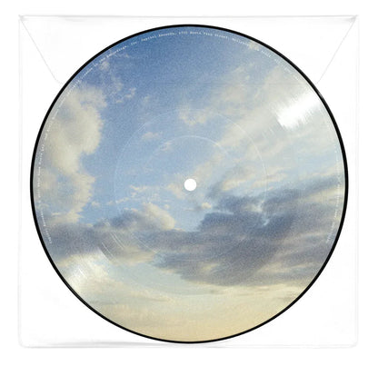 Niall Horan - Meltdown (Picture Disc Vinyl) (Import) (7" Single) - Joco Records