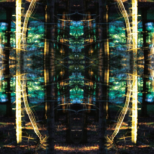 Niko Karlsson - Valosta Valoon (LP) - Joco Records