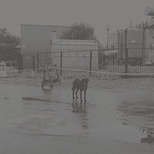 Nivhek - After its own death / Walking in a spiral towards the house (LP) - Joco Records