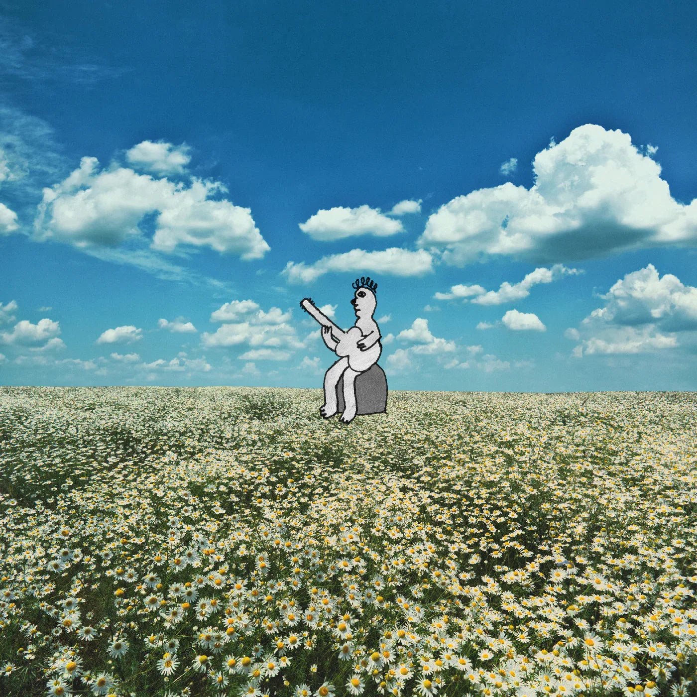 No Frills - Sad Clown (LP) - Joco Records
