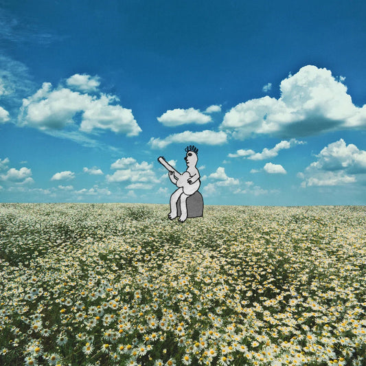 No Frills - Sad Clown (LP) - Joco Records