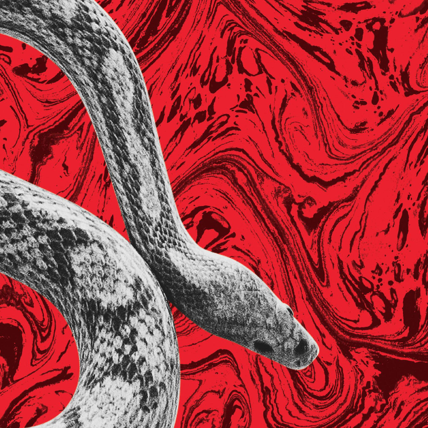 Noah Gundersen - California/All Your Love