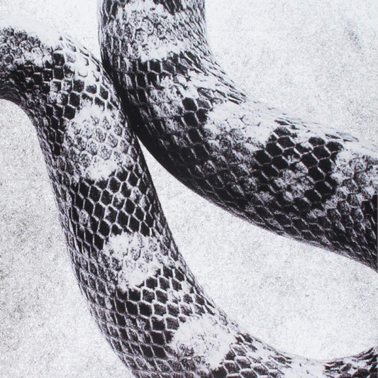 Noah Gundersen - I'm Alright/Fine