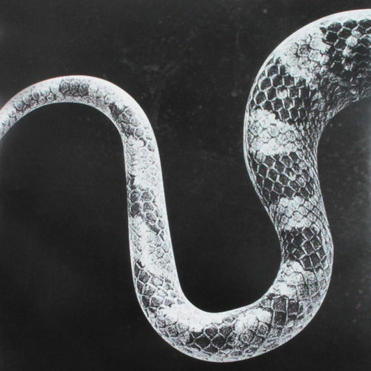 Noah Gundersen - Sentimental Kids/Last Of The Leavers