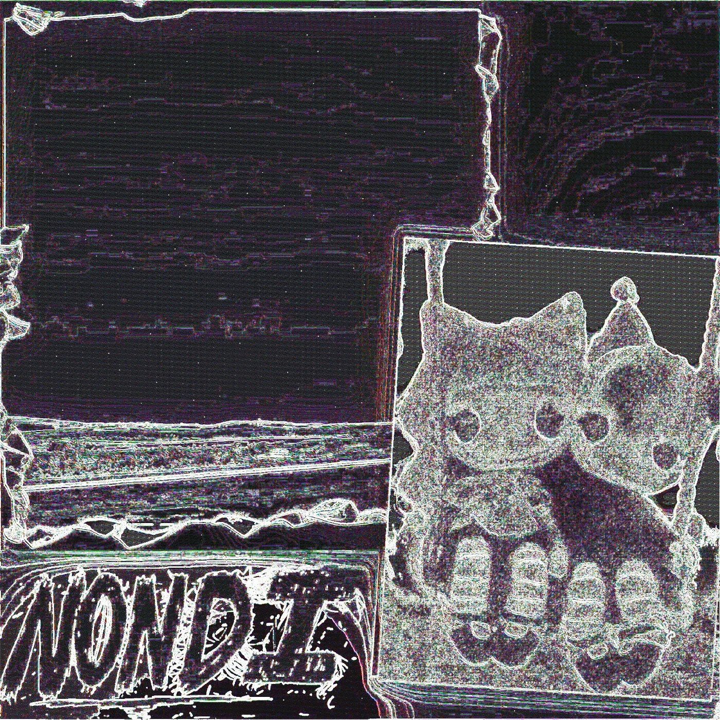 Nondi_ - Nondi... (Vinyl) - Joco Records