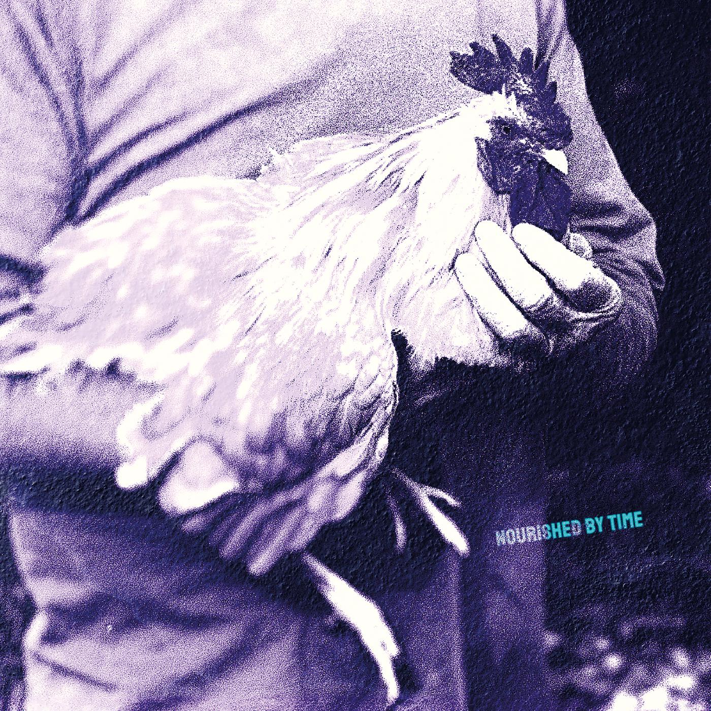 Nourished By Time - Catching Chickens Ep (Vinyl) - Joco Records