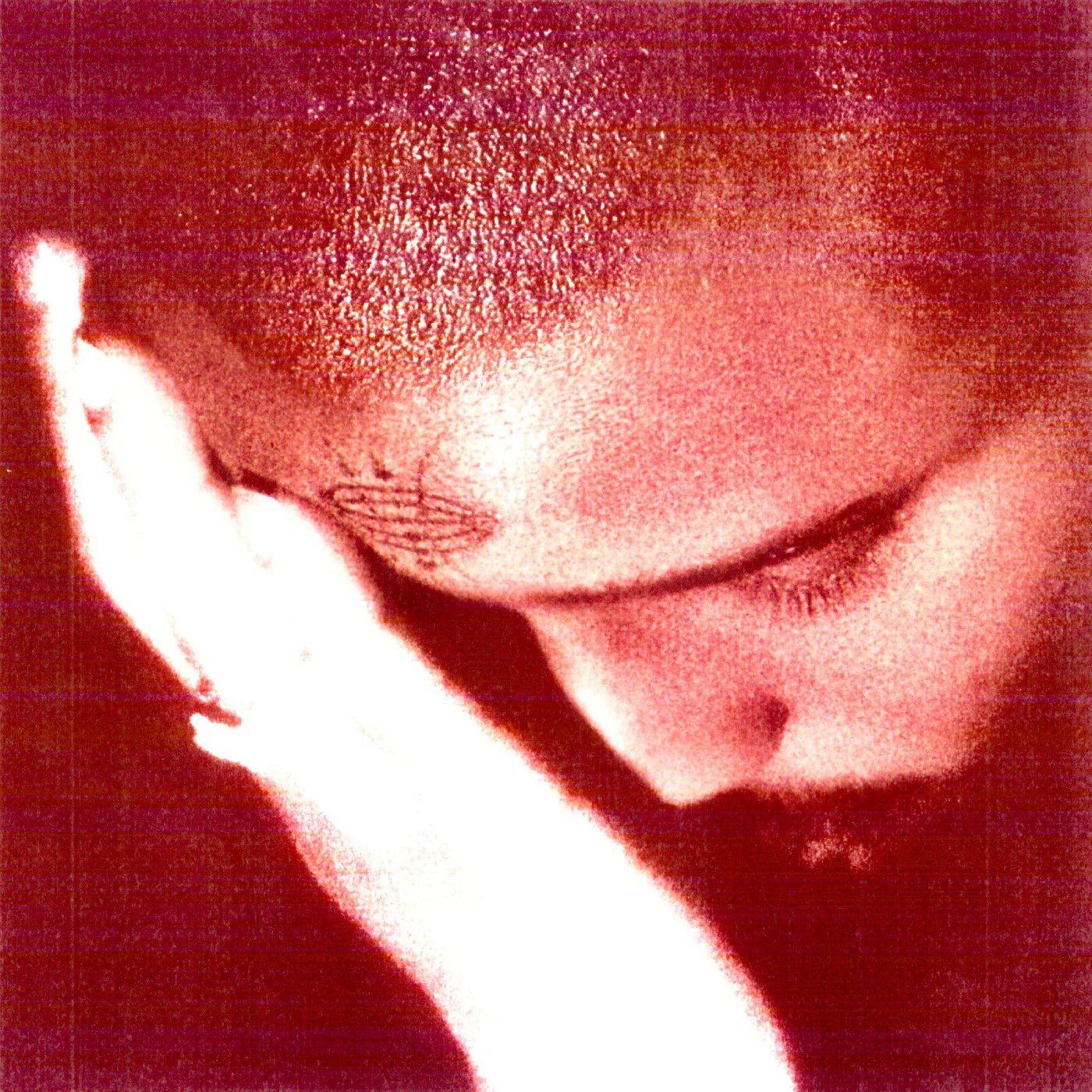 Nourished by Time - The Passionate Ones (LP) - Joco Records