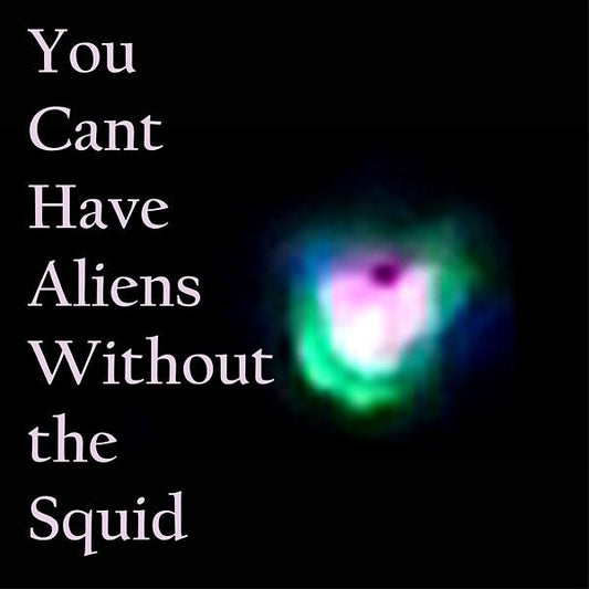 Nudge Squidfish - You Can't Have Aliens Without The Squid (LP) - Joco Records