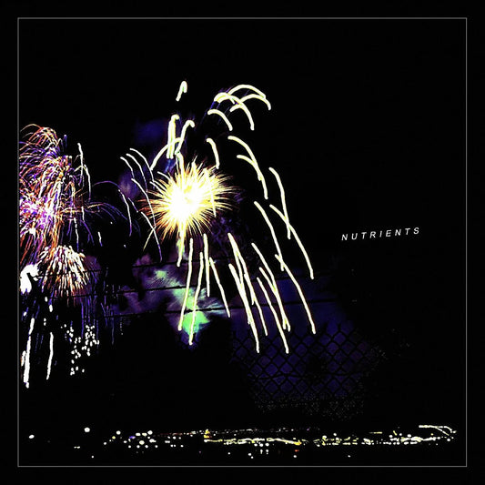 Nutrients - Different Bridges (LP) - Joco Records