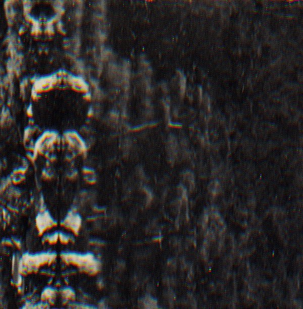 O Morto - The Forest, The People And The Spirits (LP) - Joco Records