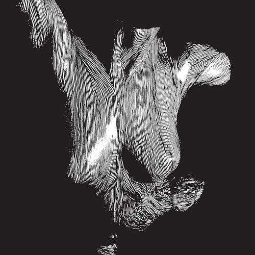 Oceansize - Self Preserved While The Bodies Float Up (15th Anniversary) (3 LP)