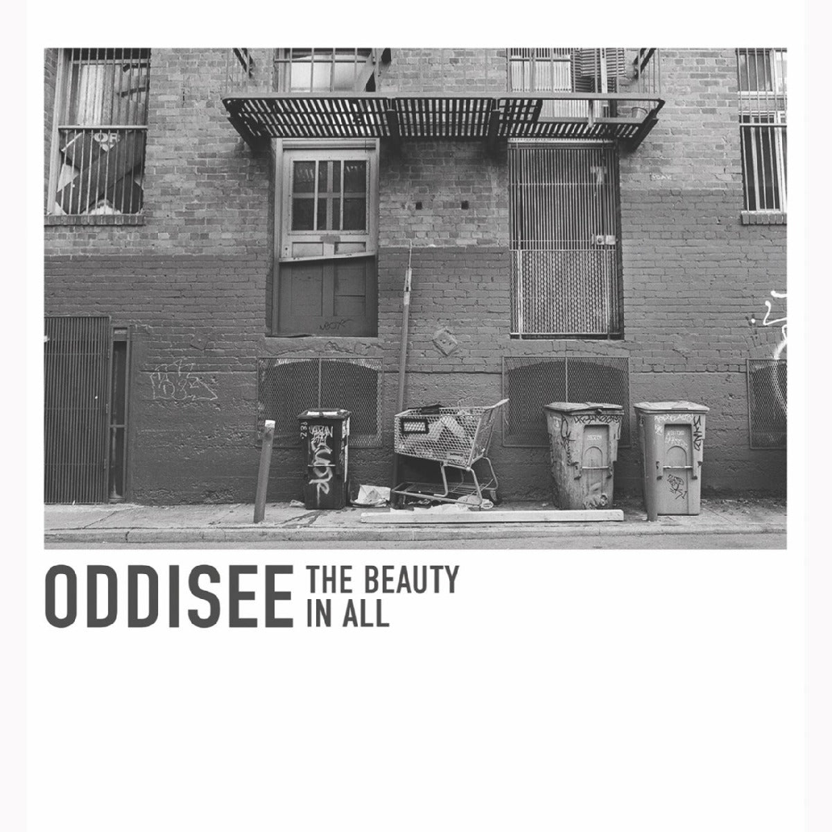 Oddisee - The Beauty In All (Indie Exclusive, Opaque Purple Vinyl) (LP)