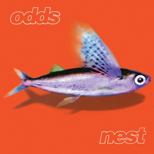 Odds - Nest (LP) - Joco Records
