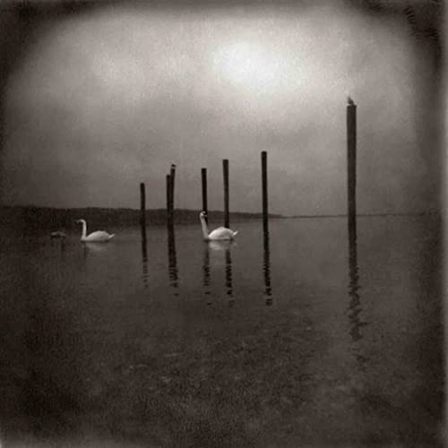OM - Conference Of The Birds (LP) - Joco Records
