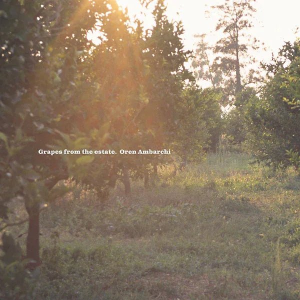 Oren Ambarchi - Grapes From The Estate (LP) - Joco Records