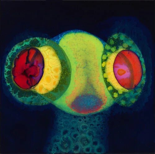 Osees - Sorcs 80 (Indie Exclusive, Green Vinyl, Magenta Vinyl, Limited Edition) (LP) - Joco Records