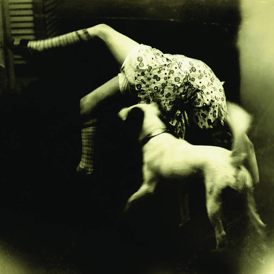 Over The Rhine - Good Dog Bad Dog: The Home Recordings (2 LP) - Joco Records