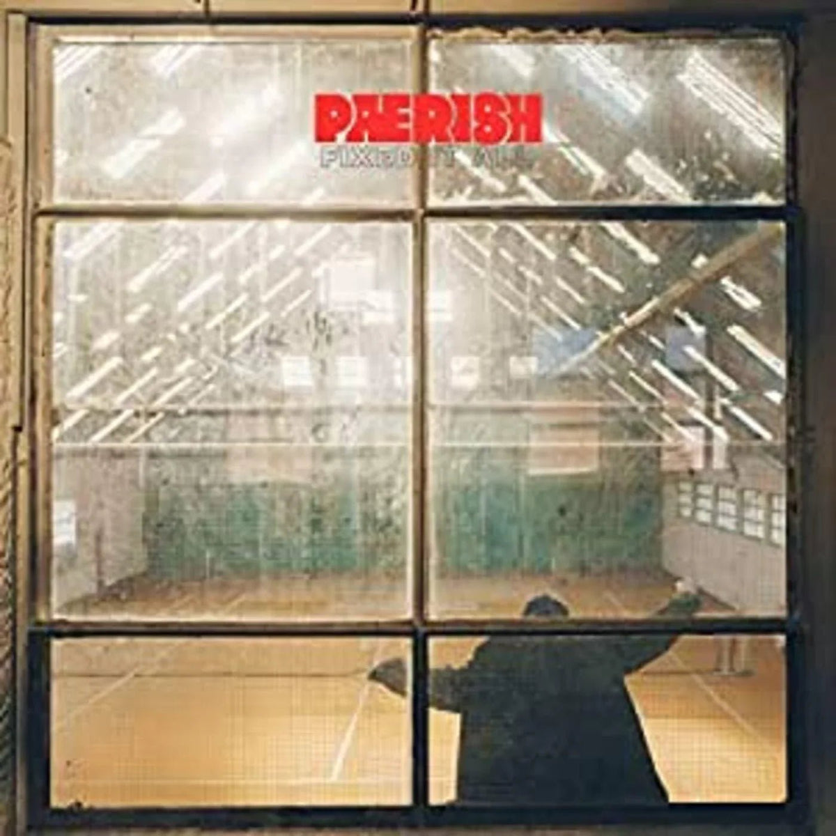 Paerish - Fixed It All (LP) - Joco Records