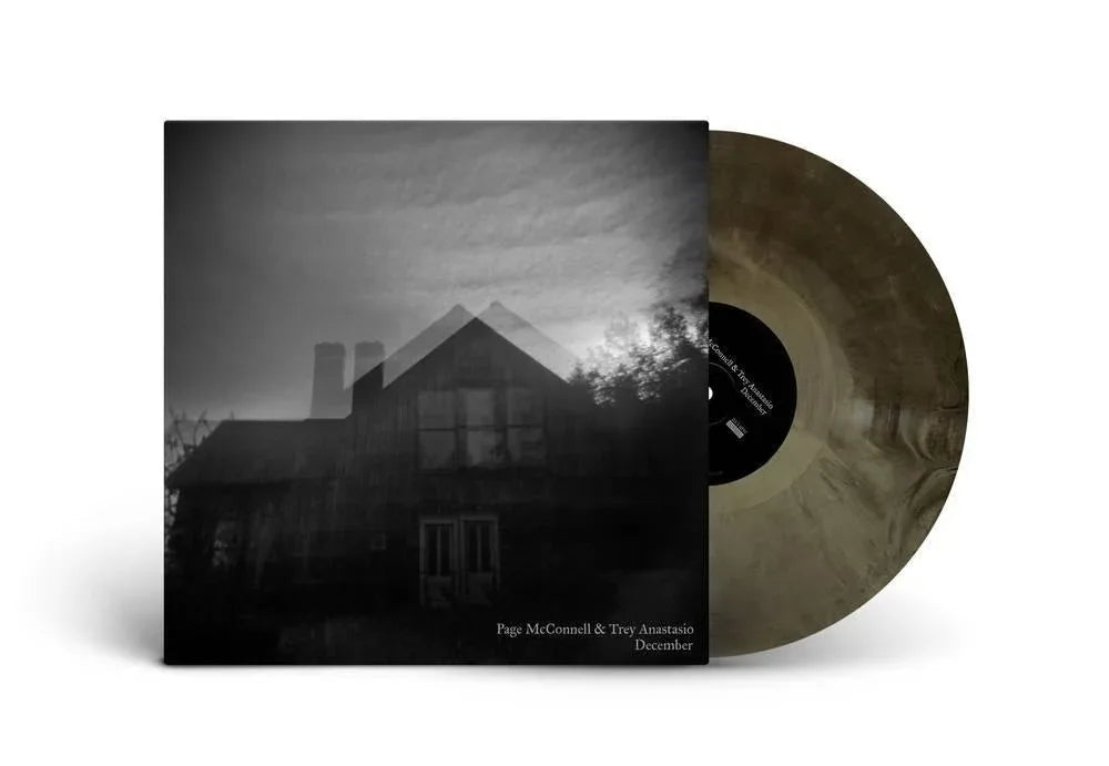 Page Mcconnell / Trey Anastasio - December (Barn Board) (12-Inch Vinyl EP) - Joco Records