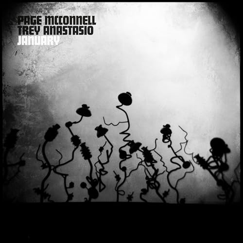 Page McConnell & Trey Anastasio - January (LP) - Joco Records