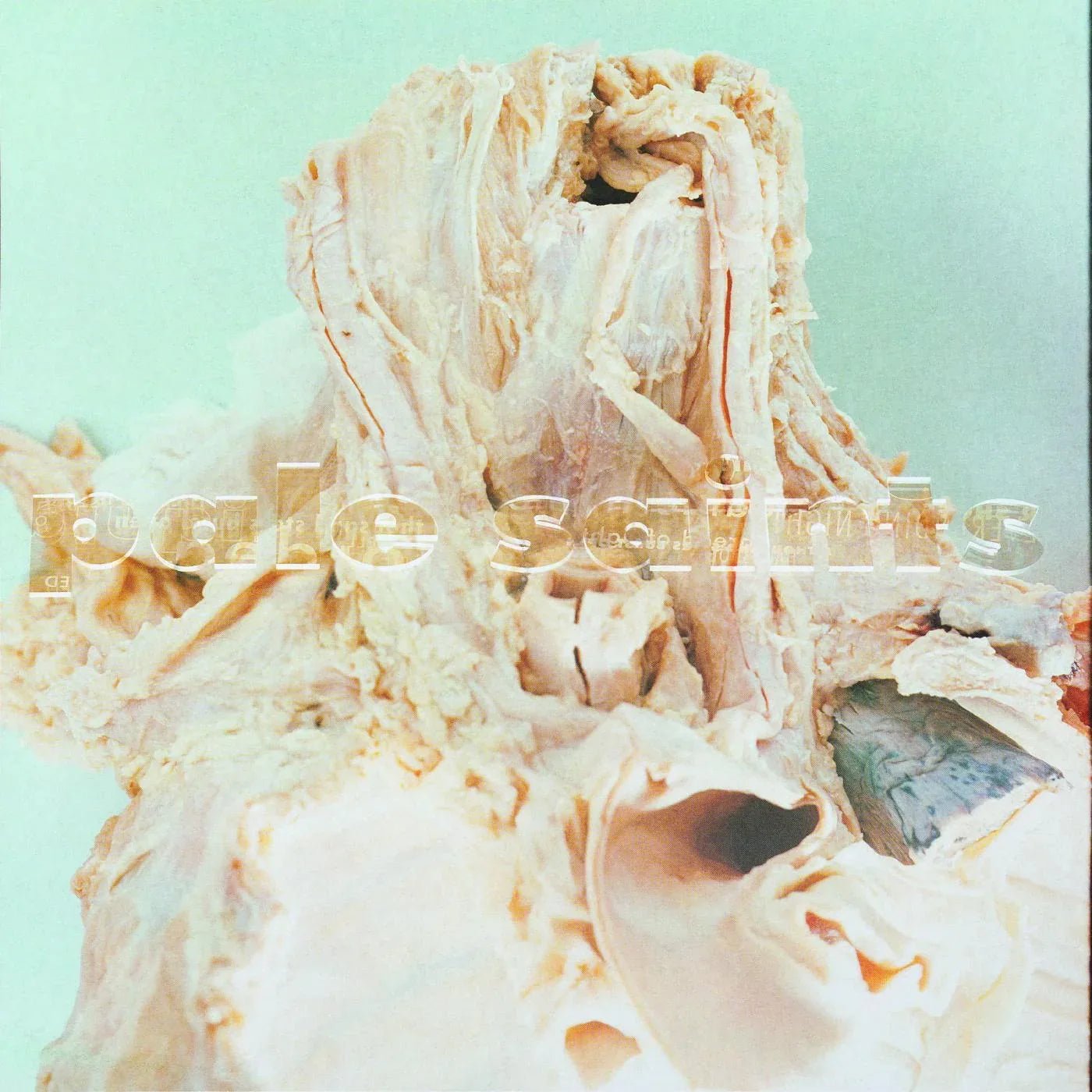 Pale Saints - In Ribbons (LP) - Joco Records