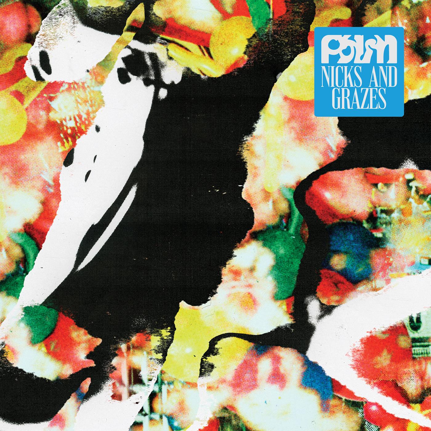 Palm - Nicks And Grazes (Indie Exclusive Dutch Orange Vinyl)