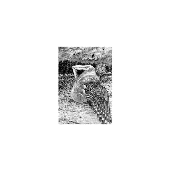Patrick Lysaght - For The Birds (LP)