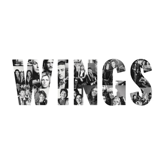 Paul Mccartney And Wings - Wings (180 Gram) (LP) - Joco Records