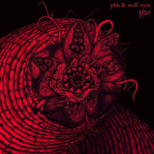 Pbk & Wolf Eyes - Rabid (LP) - Joco Records
