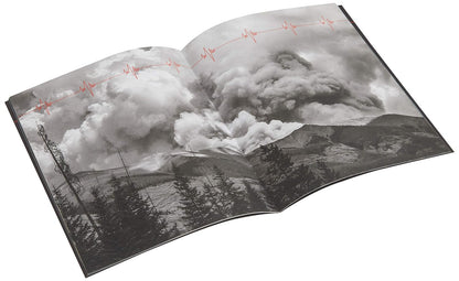 Pearl Jam - Gigaton (2 LP) - Joco Records