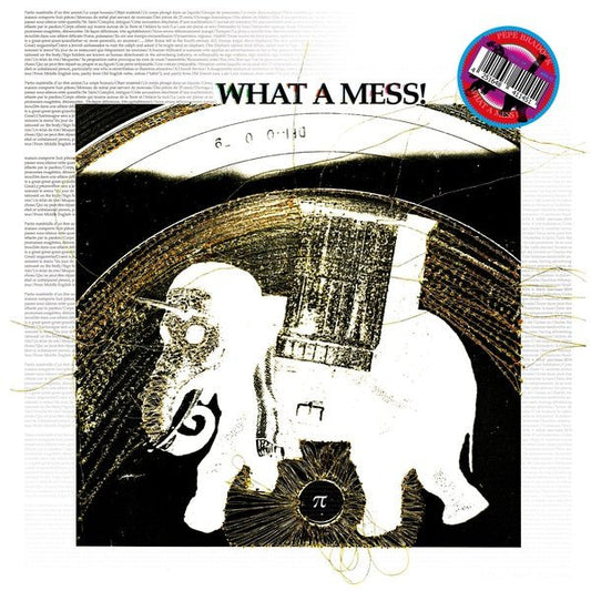 Pepe Bradock - What A Mess! (LP) - Joco Records