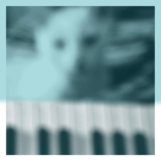 Peter Broderick - Piano Works Vol. 1 (Floating in Tucker's Basement) (2 LP) - Joco Records