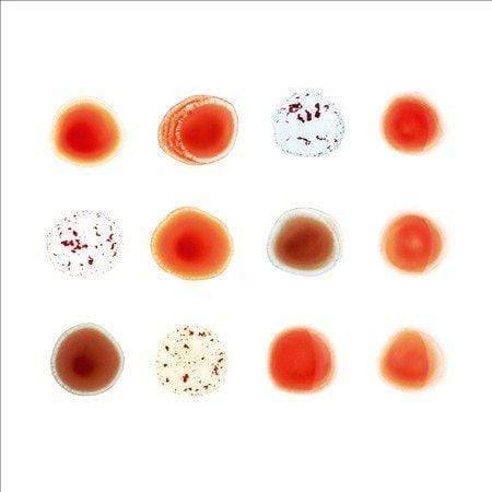 Peter Gabriel - Scratch My Back (2 LP)