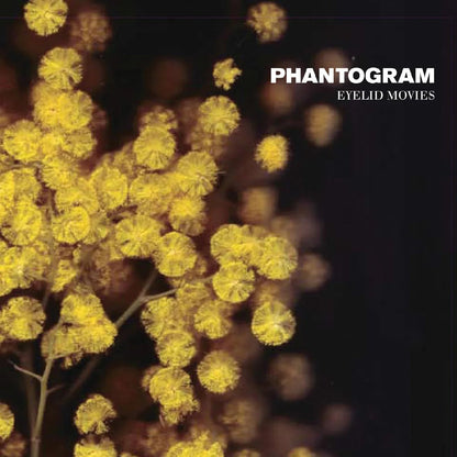Phantogram - Eyelid Movies (Clear with Yellow Swirl Vinyl) (LP) - Joco Records