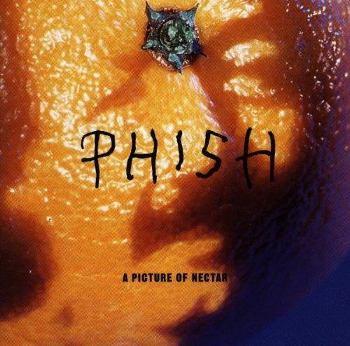 Phish - A Picture of Nectar (Limited Edition, Grape Apple Pie Vinyl) (2 LP) - Joco Records