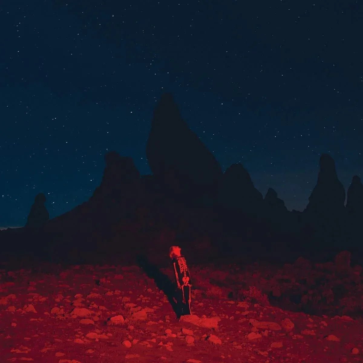 Phoebe Bridgers - Punisher (LP) - Joco Records