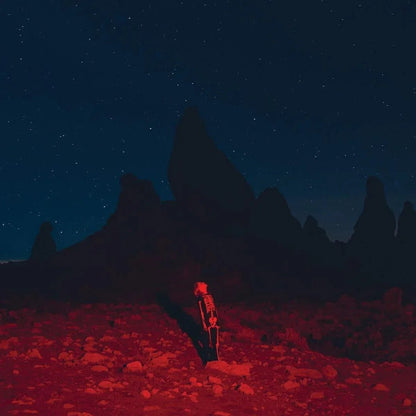 Phoebe Bridgers - Punisher (LP) - Joco Records