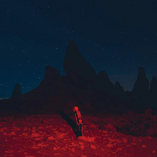 Phoebe Bridgers - Punisher (LP) - Joco Records