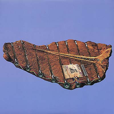 Phoenecia - Odd Job (12 - Inch Vinyl) - Joco Records