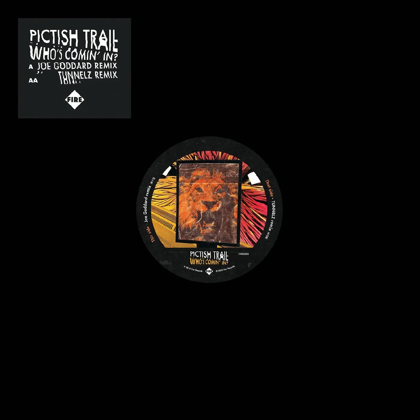 Pictish Trail - Who's Comin' In? (12-Inch Vinyl) - Joco Records