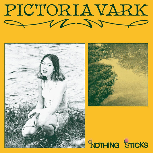 Pictoria Vark - Nothing Sticks (LP) - Joco Records