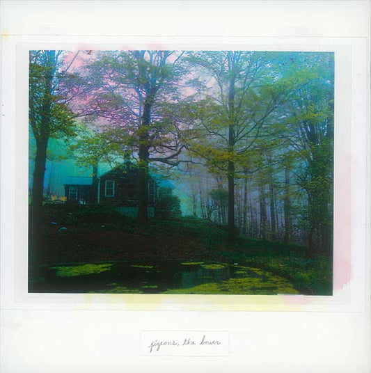 Pigeons - The Bower (LP) - Joco Records