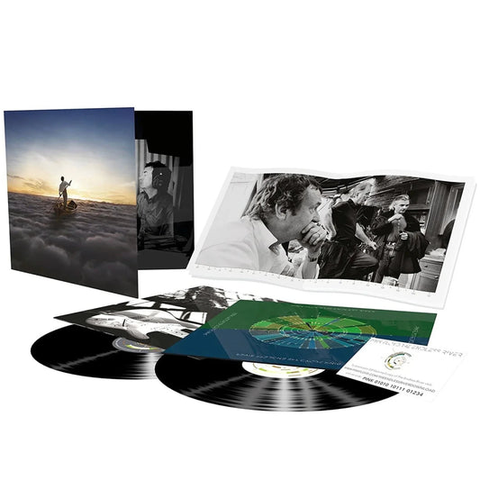 Pink Floyd - The Endless River (Remastered, 200 Gram) (2 LP) - Joco Records